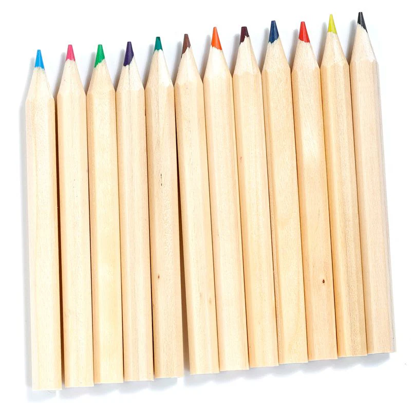 Adoramals Zoo Pencil Pot with 12 Colouring Pencils - Image 6