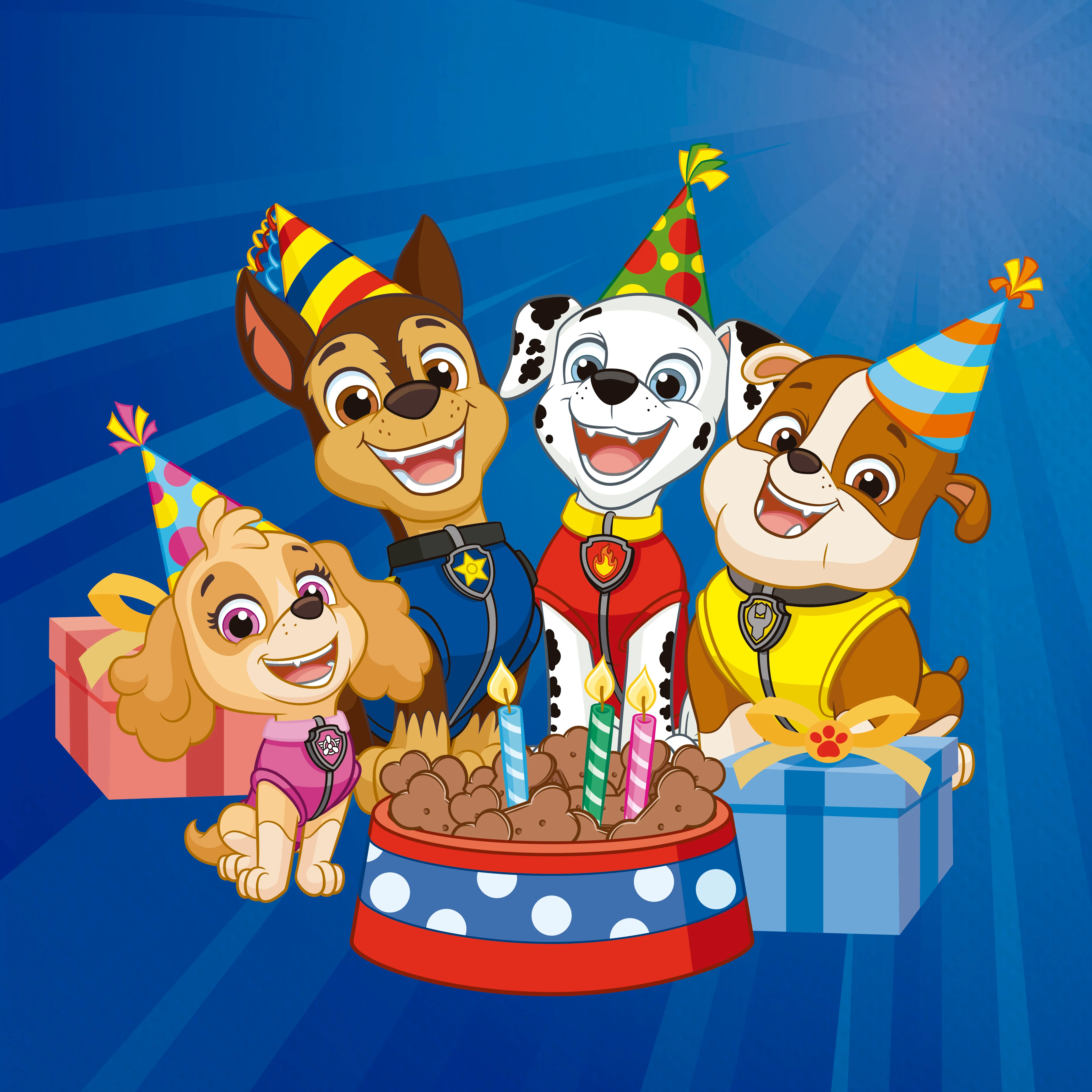 Anila's Paw Patrol Party Pack for 16 people - Image 2