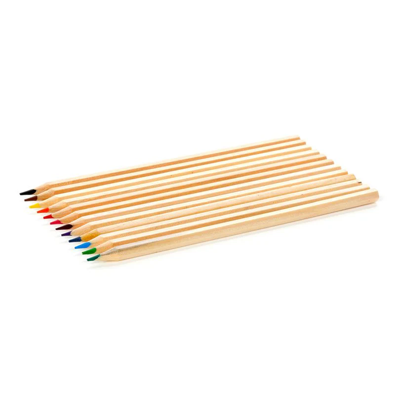 Animal Kingdom Large Pencil Pot with 12 Colouring Pencils - Image 5