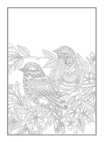 Beautiful Birds An Anti-Stress Adult  Colouring Book - Image 2