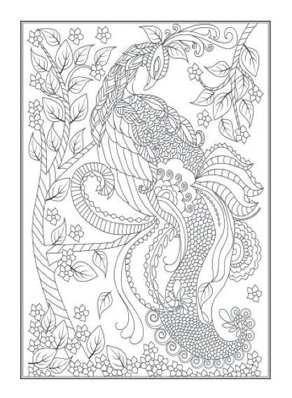 Beautiful Birds An Anti-Stress Adult  Colouring Book - Image 3