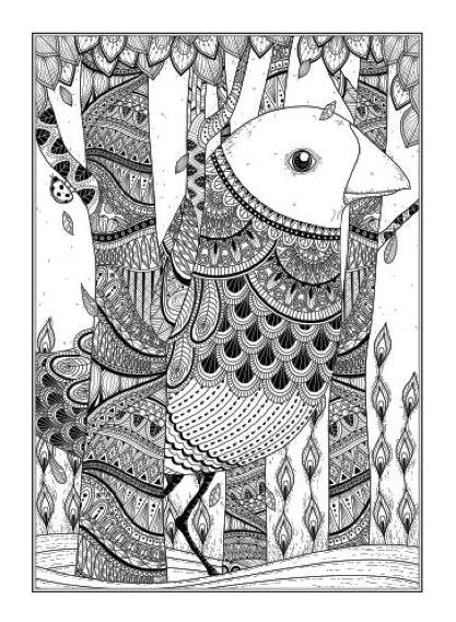 Beautiful Birds An Anti-Stress Adult  Colouring Book - Image 4
