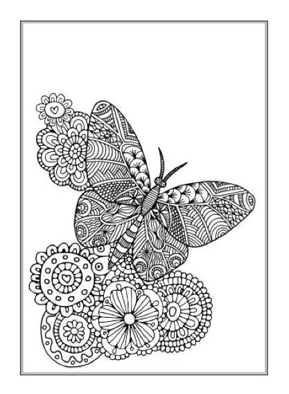 Beautiful Butterflies An Anti-Stress Adult  Colouring Book - Image 2