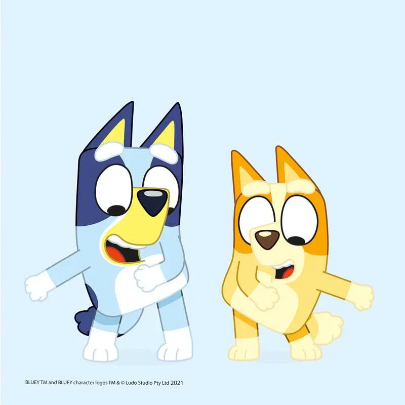 Bluey Party Pack for 8 people - Image 6
