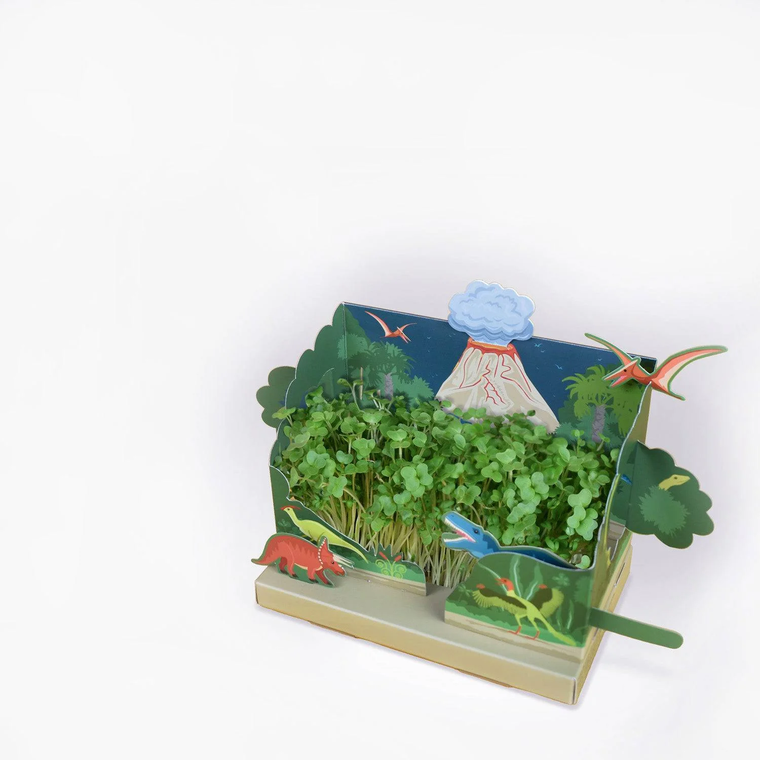 Clockwork Soldier's Grow Your Own Mini Dinosaur Garden - Image 8
