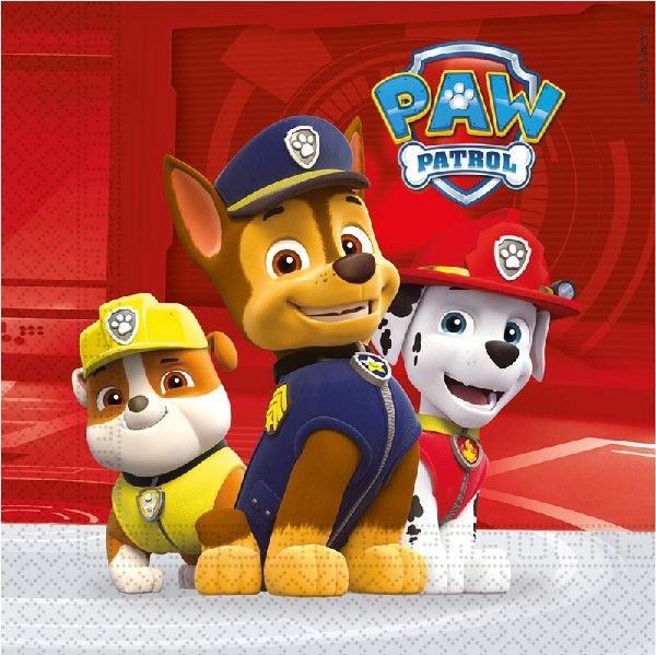 Complete Paw Patrol Themed Party Pack for 8 people Including Tableware and Favours - Image 6