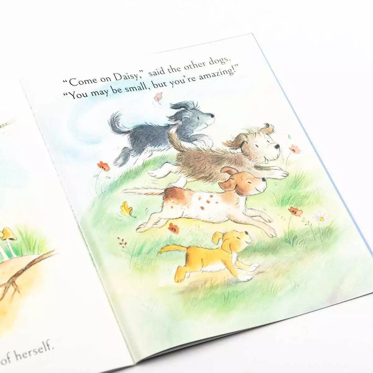 Daisy Saves The Day Children's Picture Story Book - Image 2
