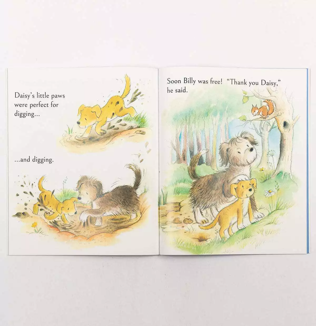 Daisy Saves The Day Children's Picture Story Book - Image 3