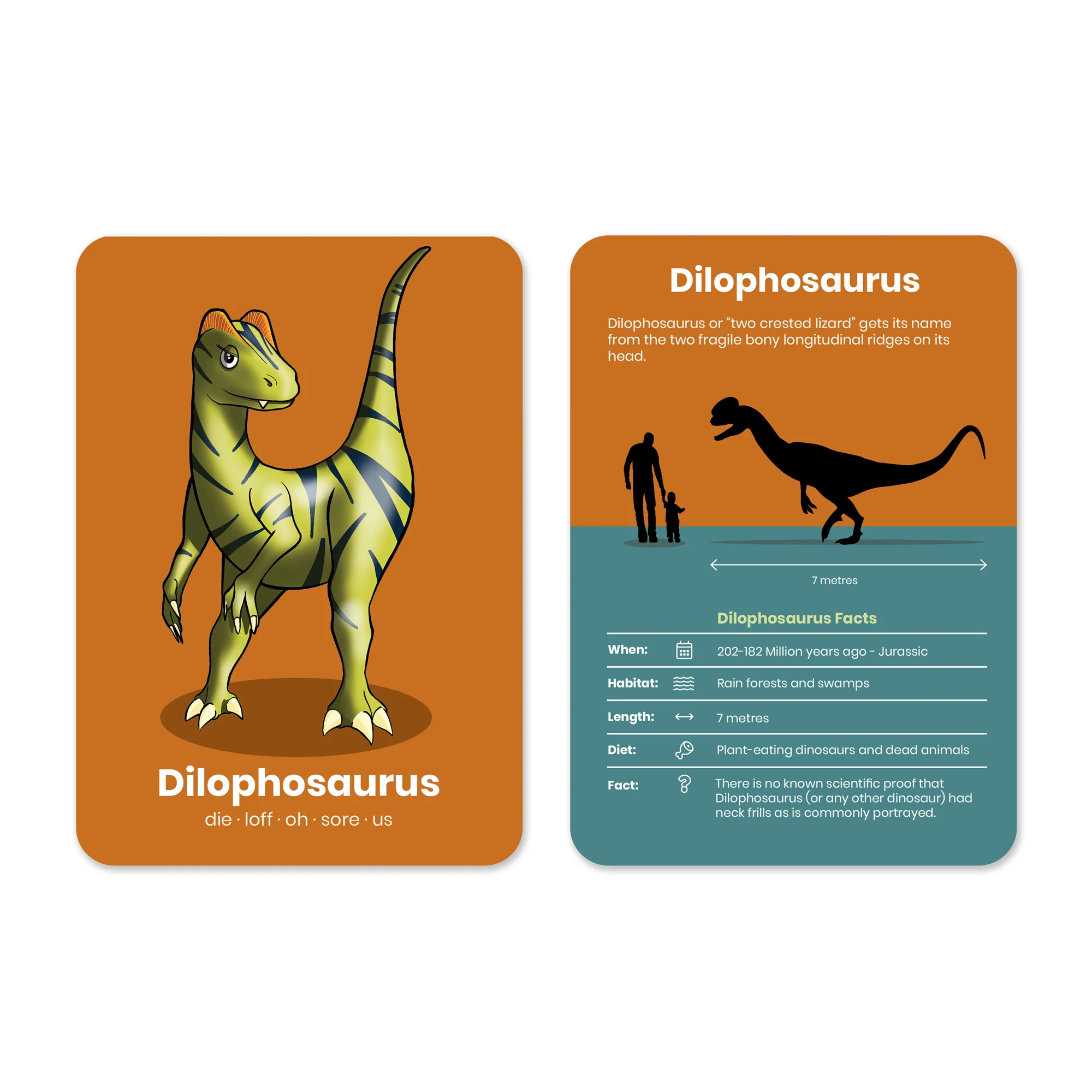 Dinosaur Activity Flashcards - Image 2