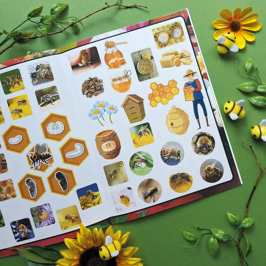 Discover Bees Sticker Book - Find, Stick and Learn - Image 3