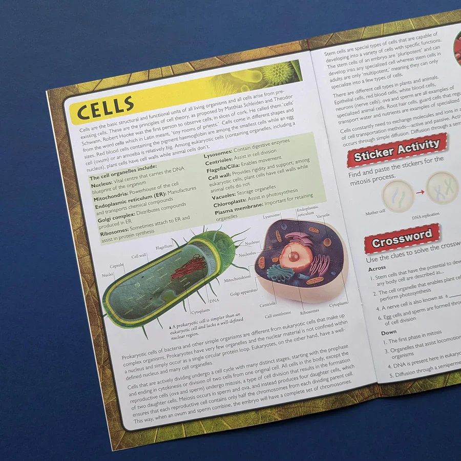 Discover Biology Sticker Book - Find, Stick and Learn - Image 3