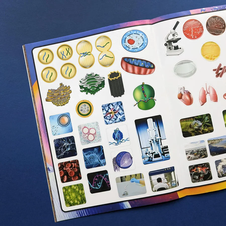 Discover Biology Sticker Book - Find, Stick and Learn - Image 4