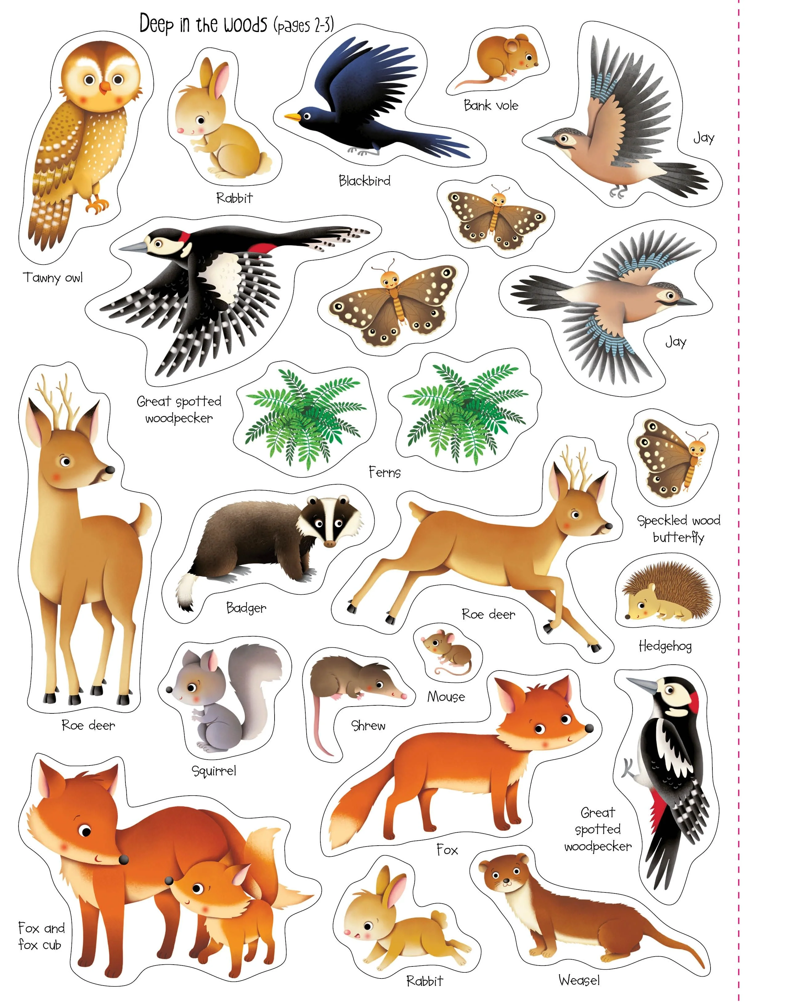 First Sticker Book Nature - Image 3