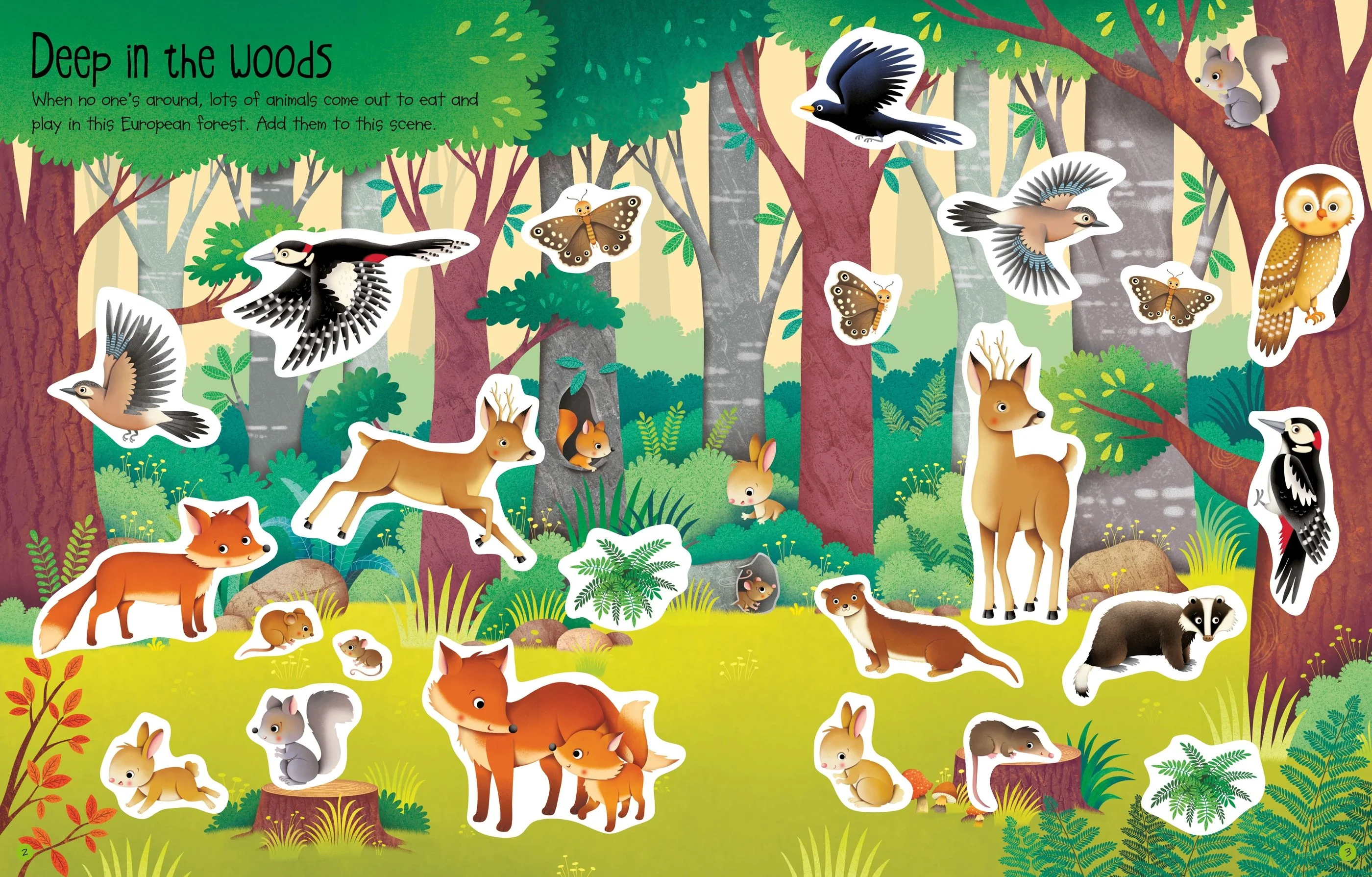 First Sticker Book Nature - Image 4