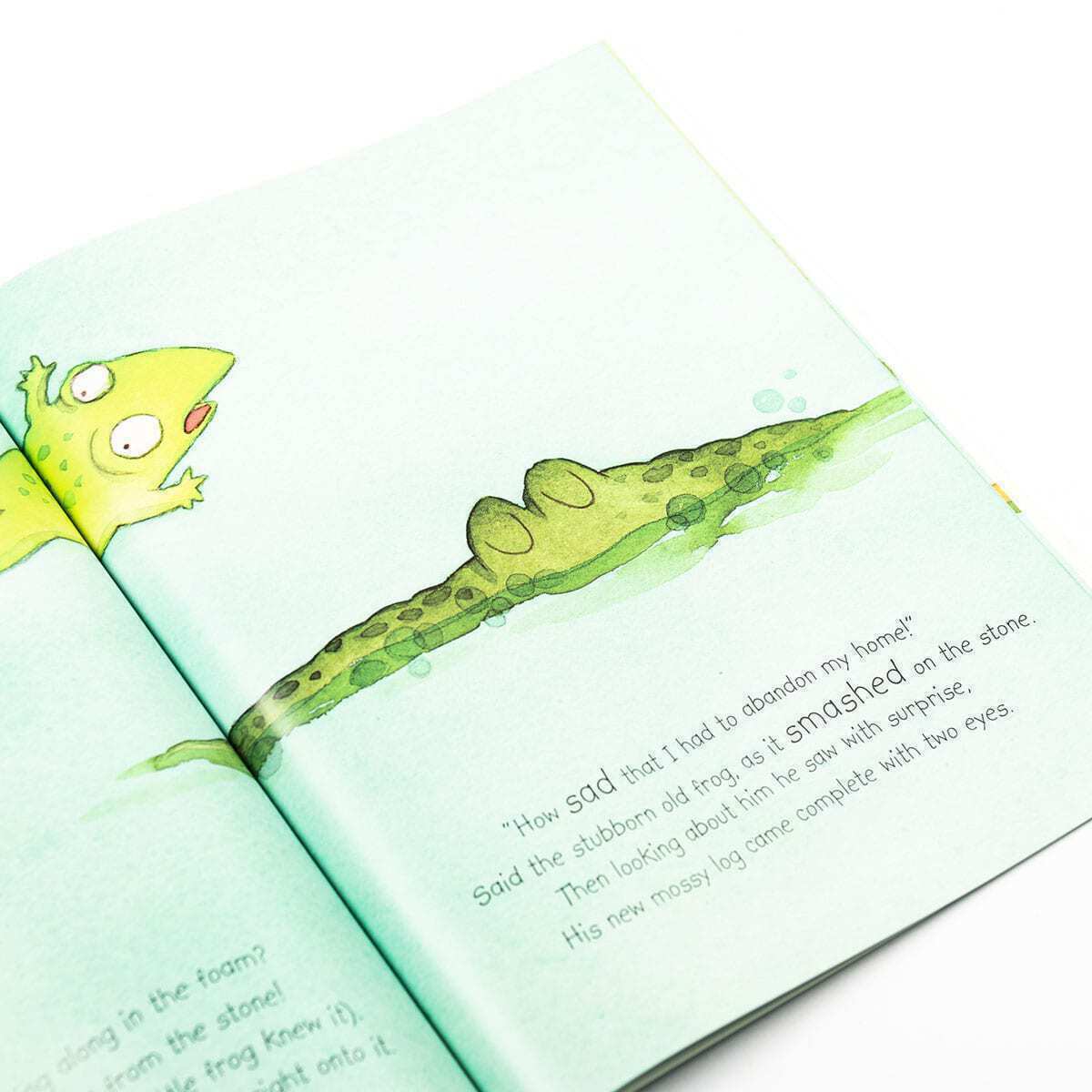 Frog On The Log Children's Picture Story Book - Image 3