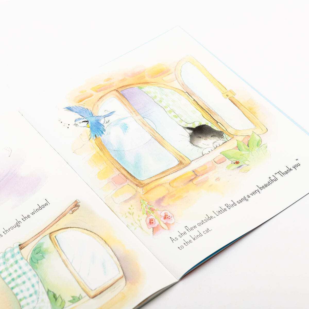 Little Bird Finds Her Voice Children's Picture Story Book - Image 3