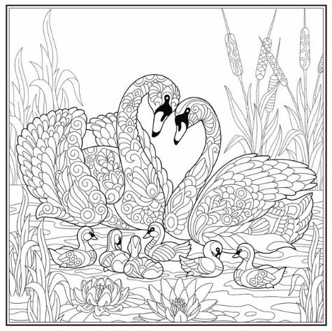 Love Colouring Adult Colouring Book - Image 3