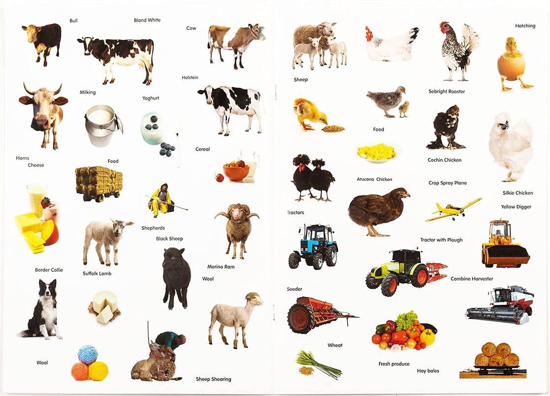 Mega Farm Animals Activity Set - Image 7