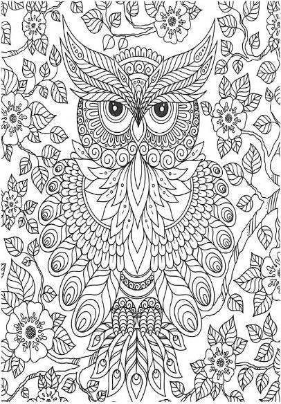 Mind Relaxation Birds  - Adult Colouring Book - Image 2