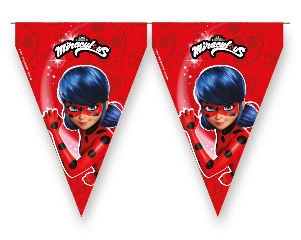 Miraculous Ladybug Birthday Party Flag Bunting Banner