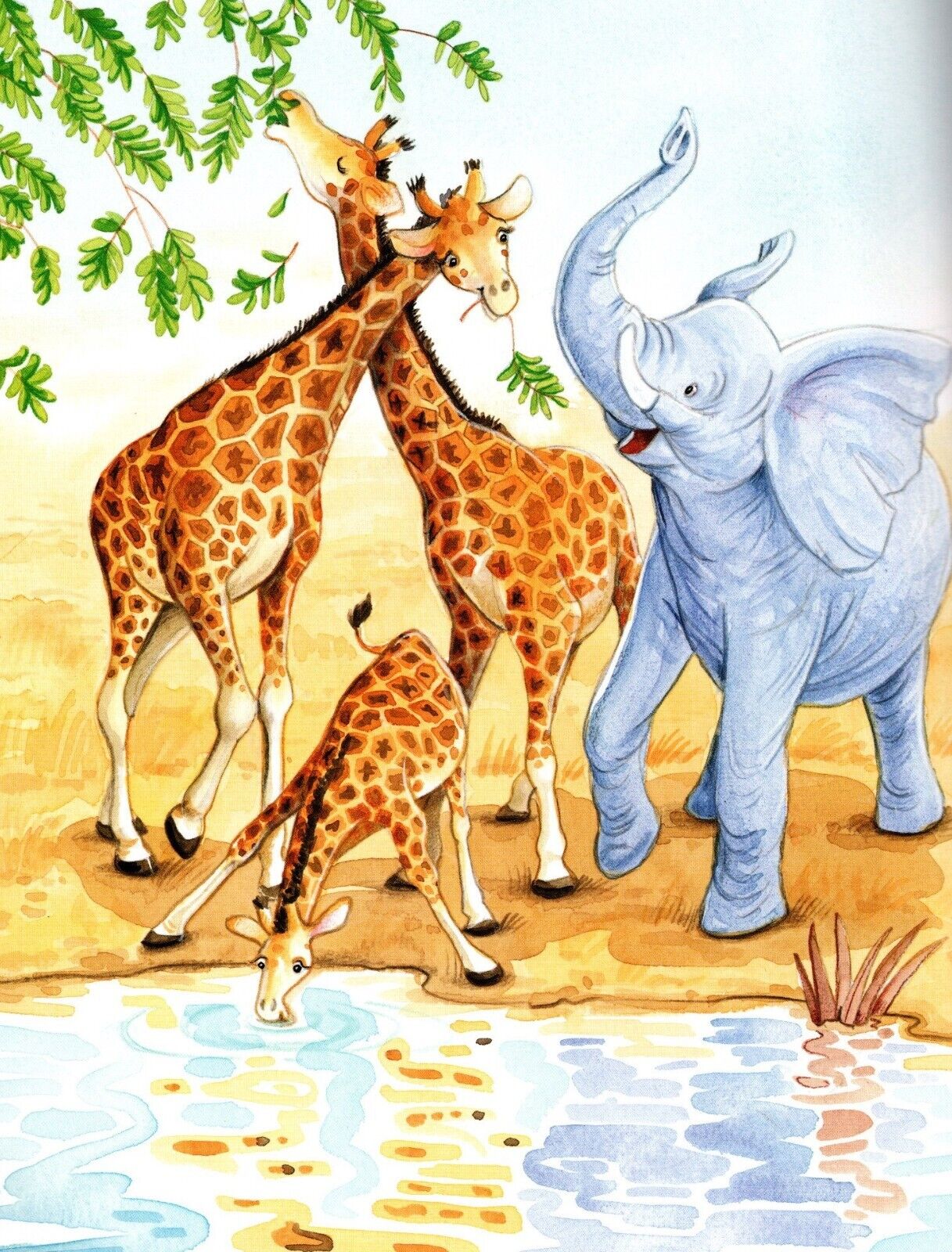 Mr Wrinkles Children's Picture Story Book - Image 3