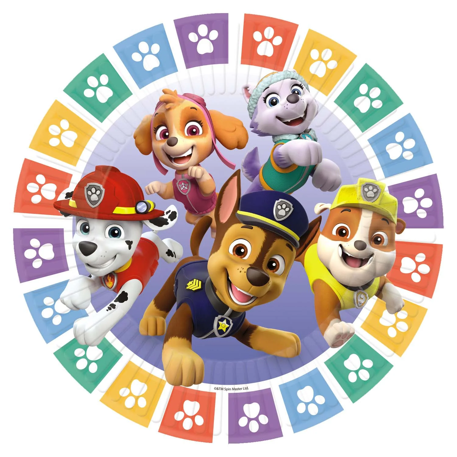 Paw Patrol Rainbow Paper Plates- 23cm ( Pack of 8)