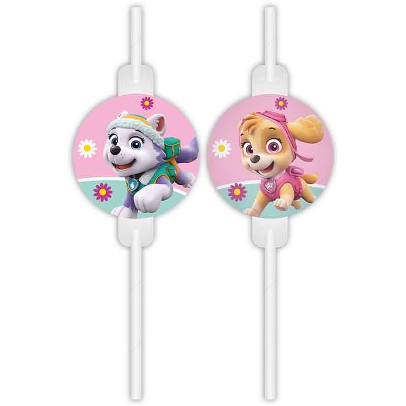 Paw Patrol Skye and Everest Medallion Paper Straws – Pack of 4