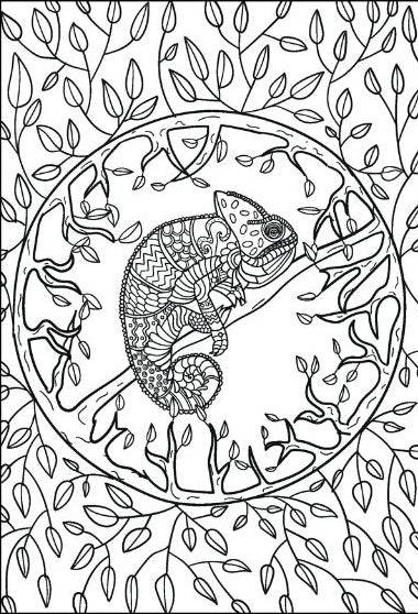 The Peaceful Colouring  Adult Colouring Book - Image 4
