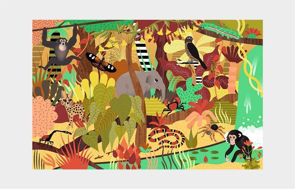 Who's Hiding in the Jungle? : A Spot and Match Game - Image 6