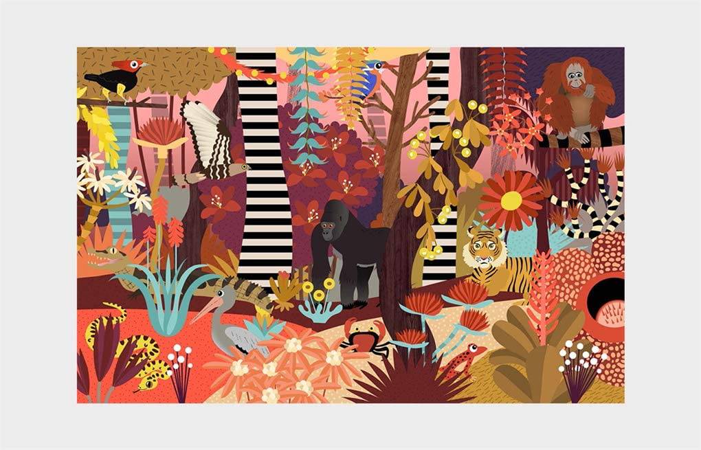 Who's Hiding in the Jungle? : A Spot and Match Game - Image 7