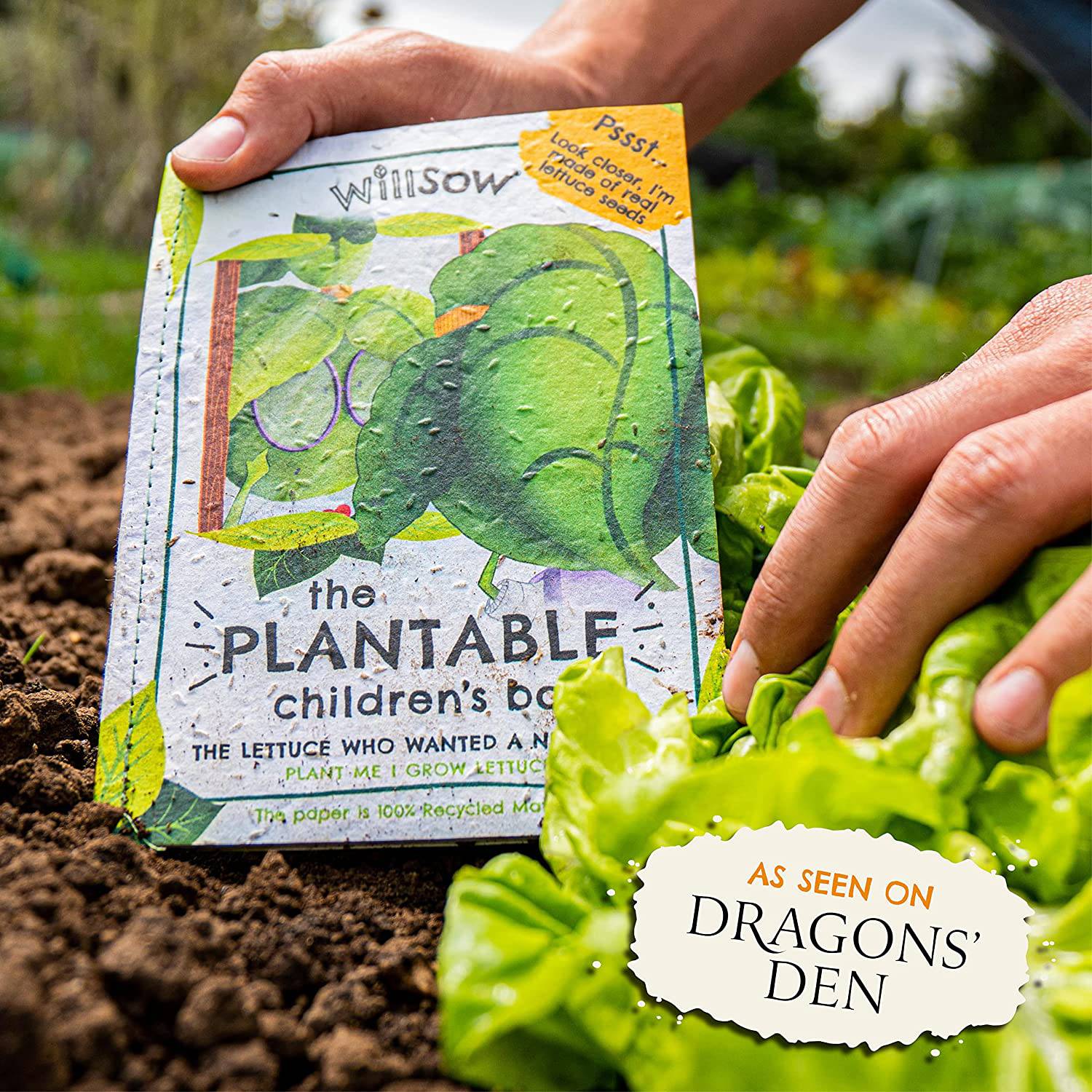 Willsow's The Plantable Children's Book - The Lettuce Who Wanted A New Look - Image 3