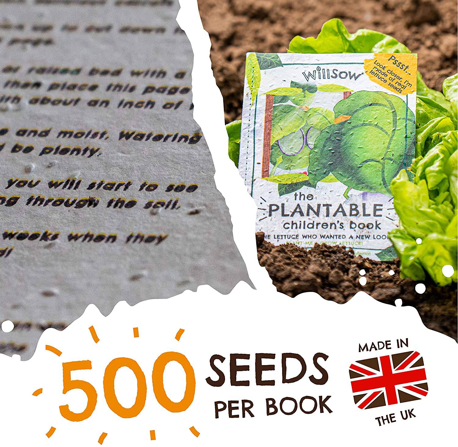 Willsow's The Plantable Children's Book - The Lettuce Who Wanted A New Look - Image 4